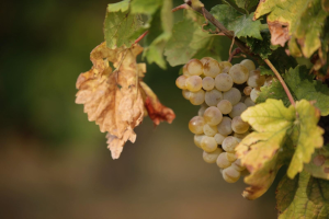 Seminar iz Interakcije usmjerene na temu Seminar iz Interakcije usmjerene na temu